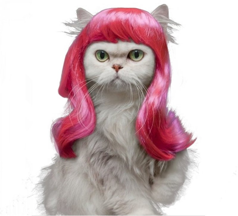 Drasawee Long Synthetic Female Pet Wigs Dog Cat Hair Costumes - Image 1